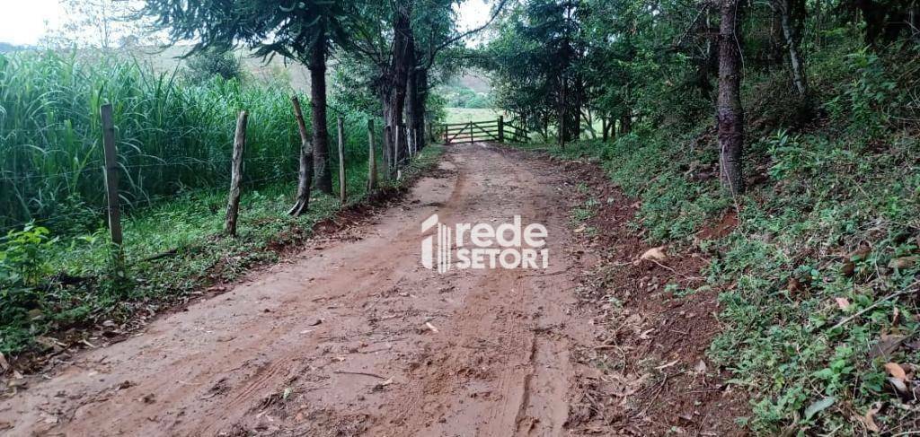 Fazenda à venda com 3 quartos, 1110000M2 - Foto 55