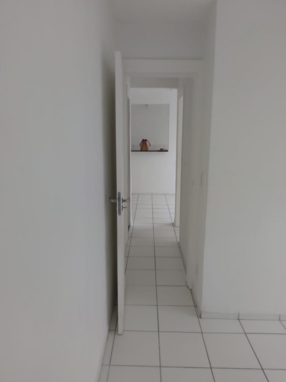 Apartamento para alugar com 2 quartos - Foto 7