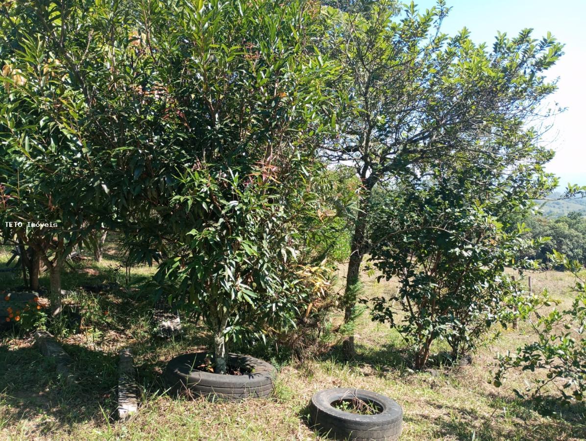 Fazenda à venda, 2m² - Foto 5