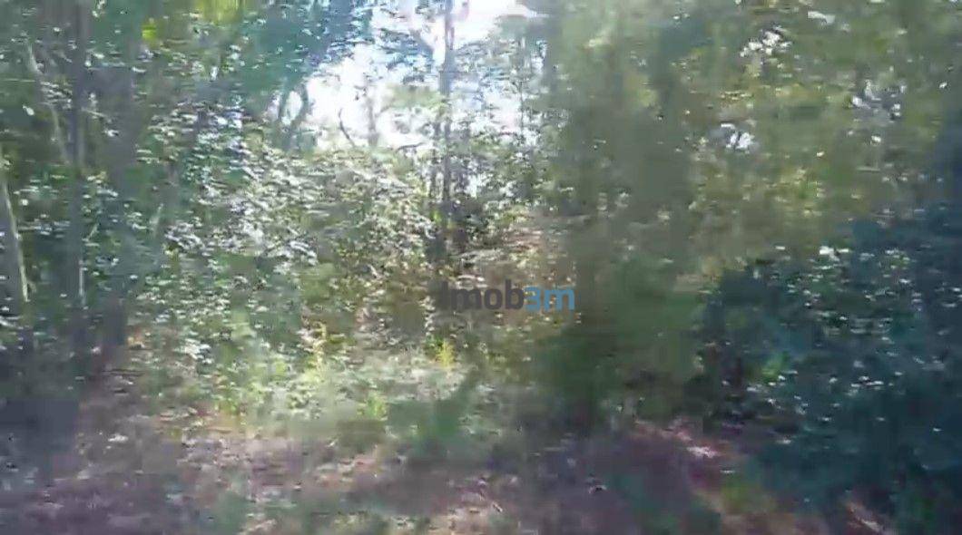 Terreno, 1938 m² - Foto 13