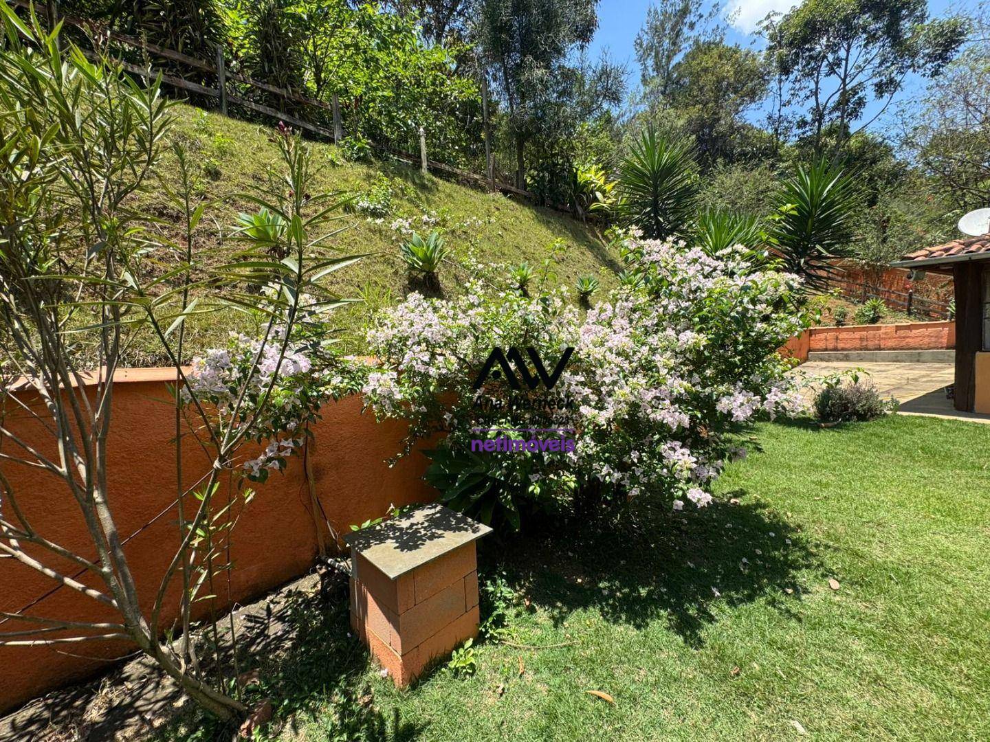 Chácara, 3 quartos, 3000 m² - Foto 4