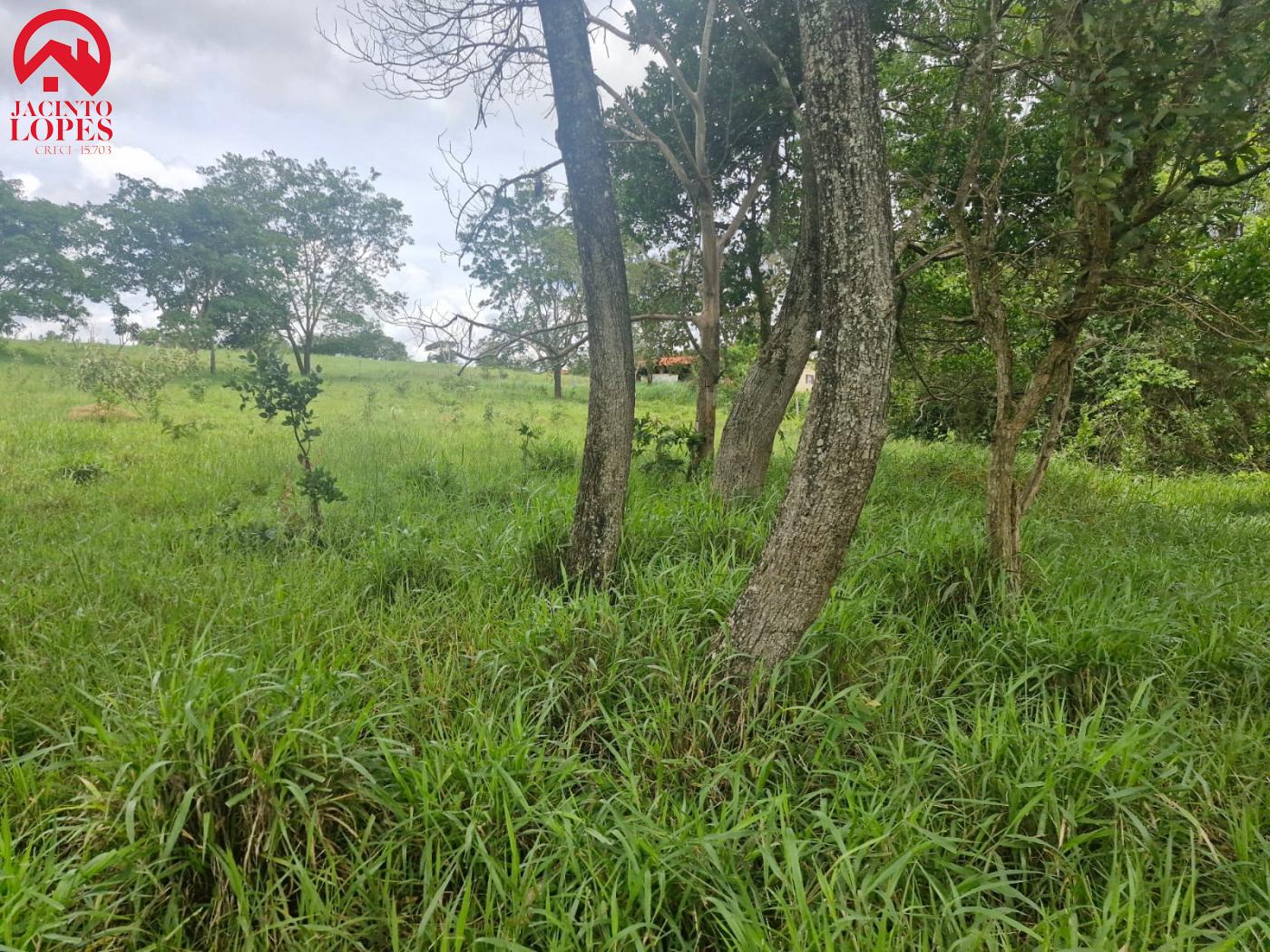 Fazenda à venda com 2 quartos, 120m² - Foto 51