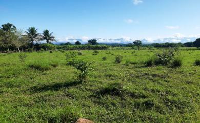 Fazenda à venda com 2 quartos, 96000m² - Foto 7