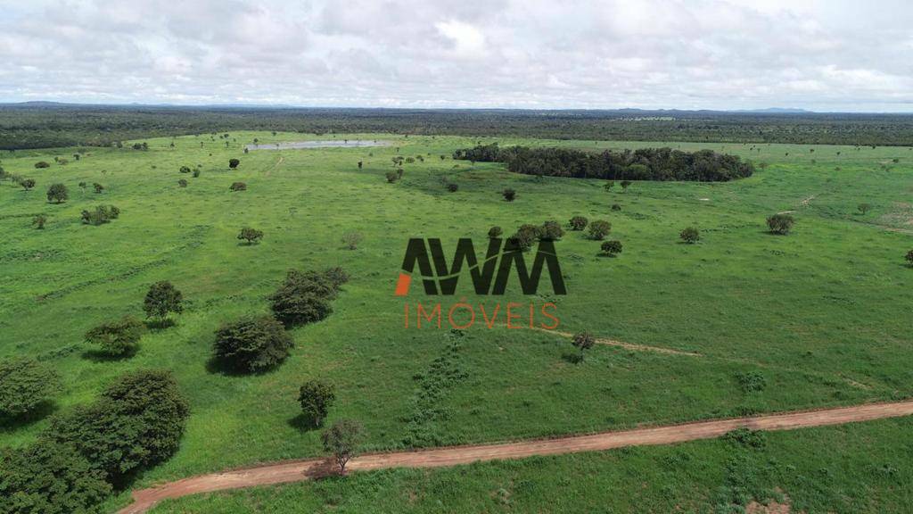 Fazenda à venda, 19263200M2 - Foto 6