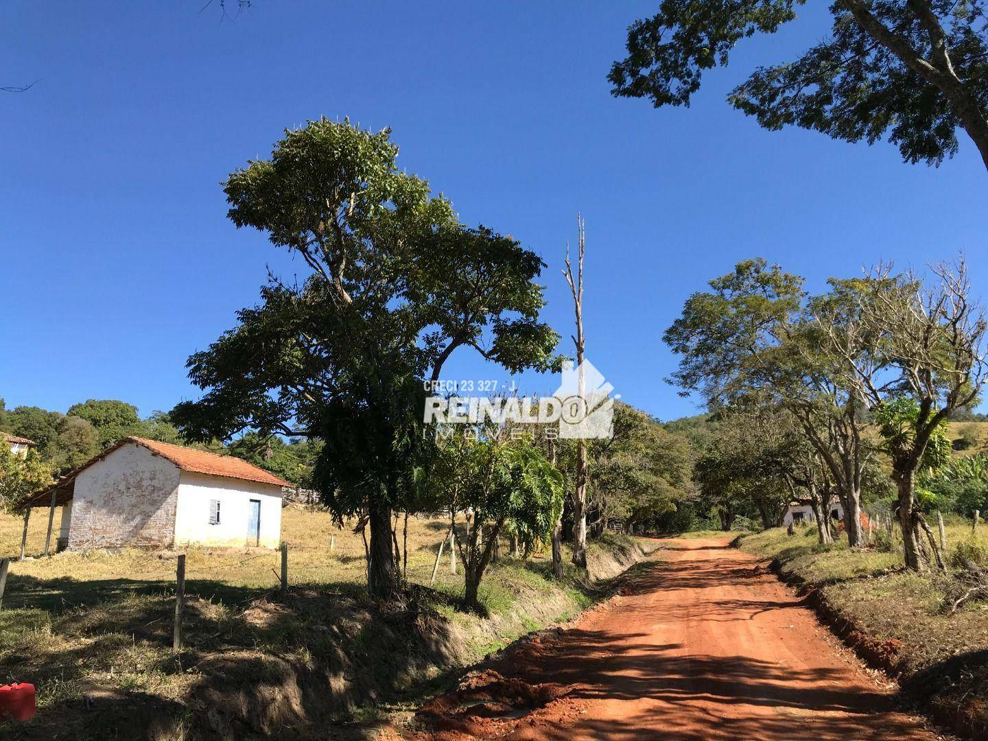 Fazenda à venda com 8 quartos, 950m² - Foto 26