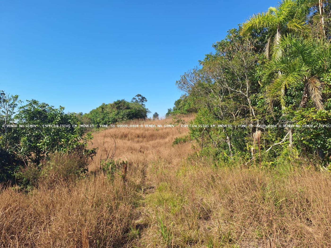 Loteamento e Condomínio à venda, 50000m² - Foto 6