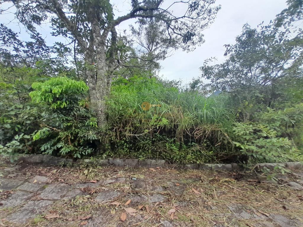 Terreno à venda, 1900m² - Foto 8