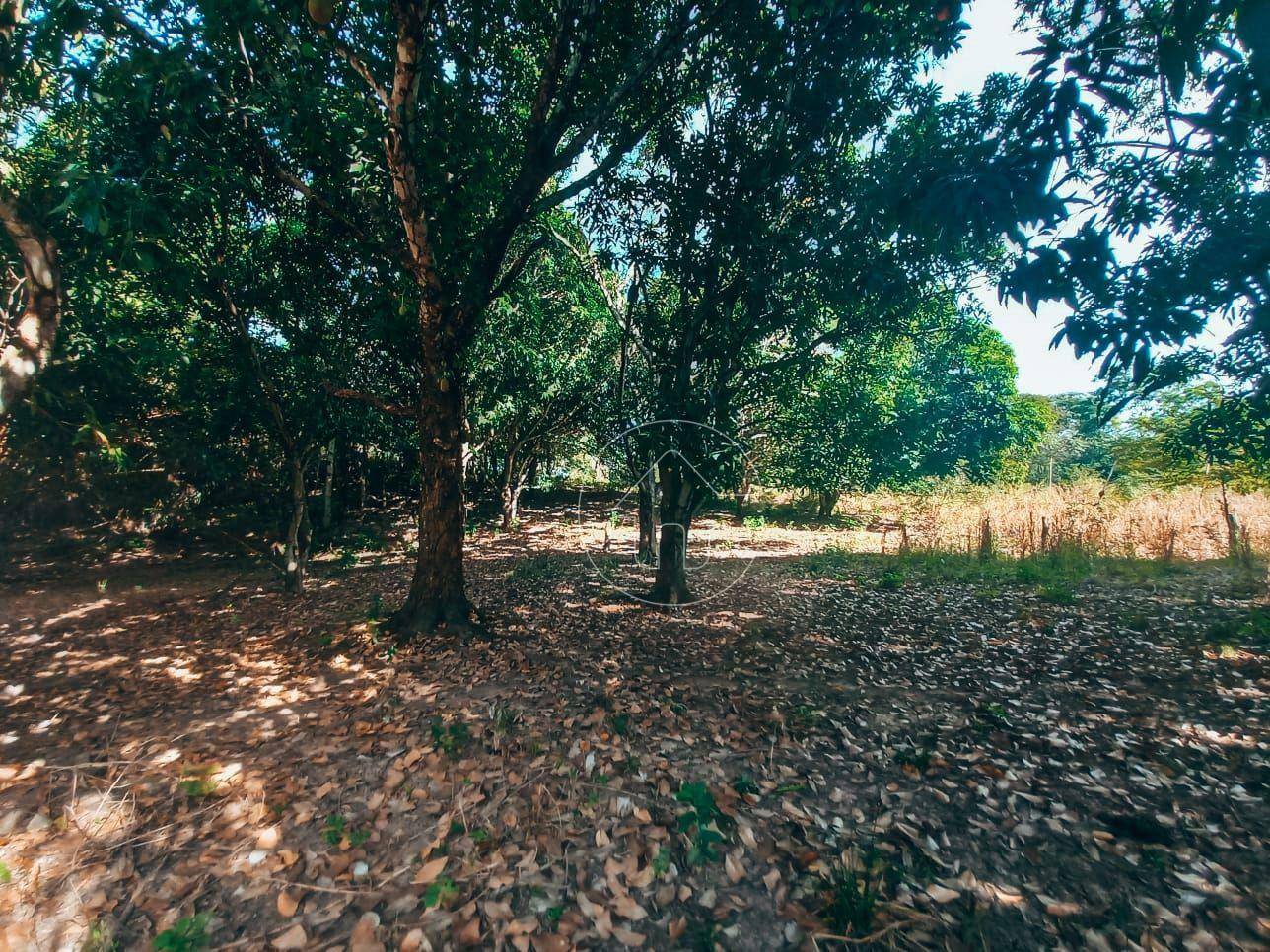 Terreno à venda, 20000M2 - Foto 21