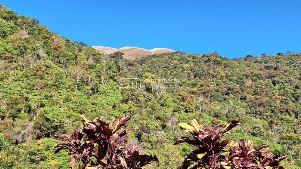 Fazenda à venda com 3 quartos, 64m² - Foto 39