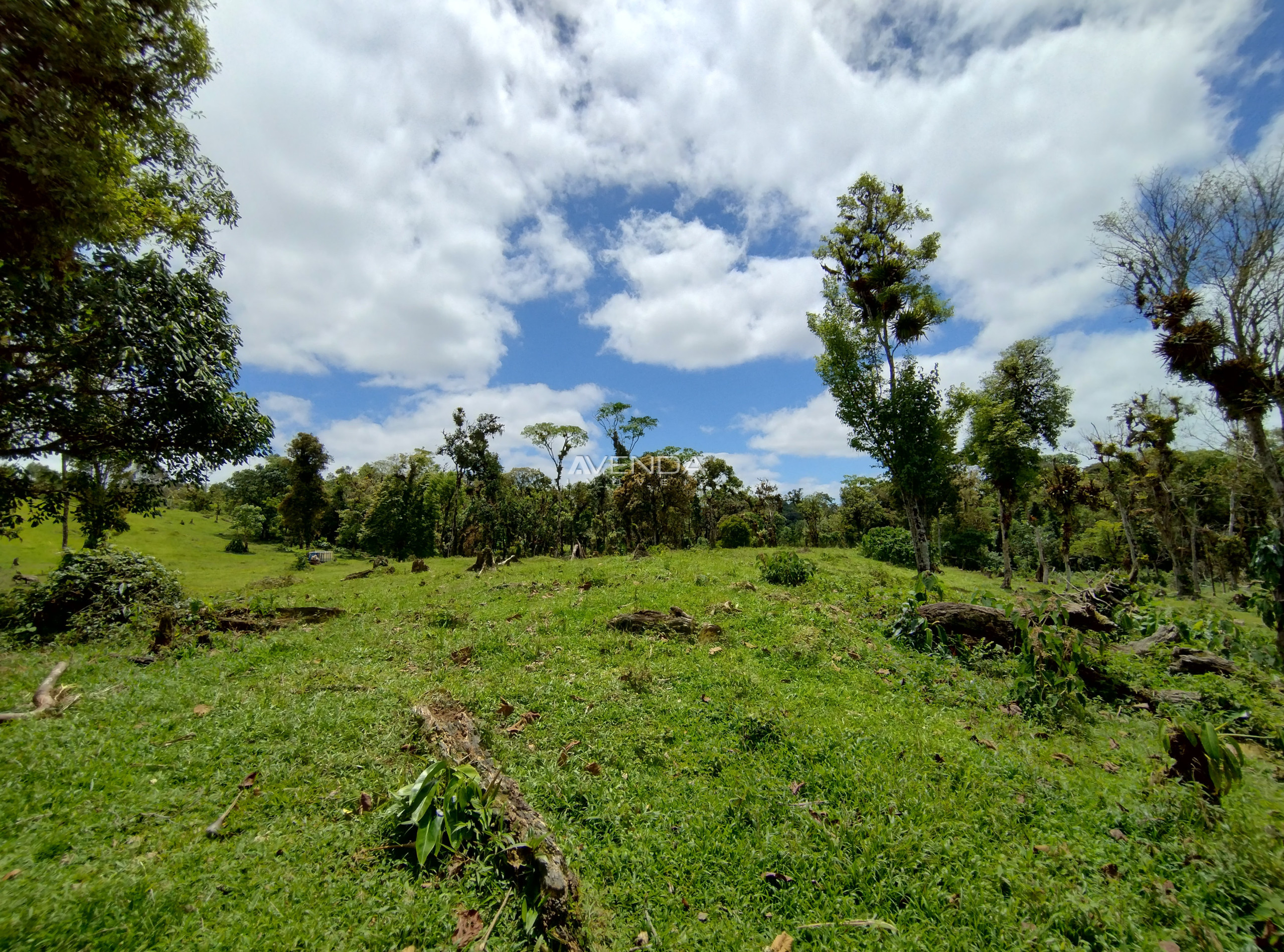 Fazenda à venda com 6 quartos, 208036m² - Foto 9