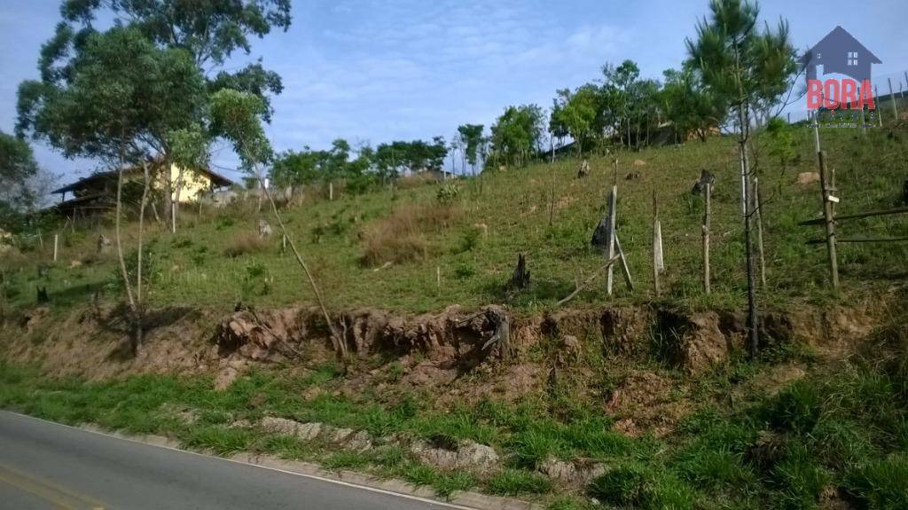 Terreno à venda, 2000M2 - Foto 4