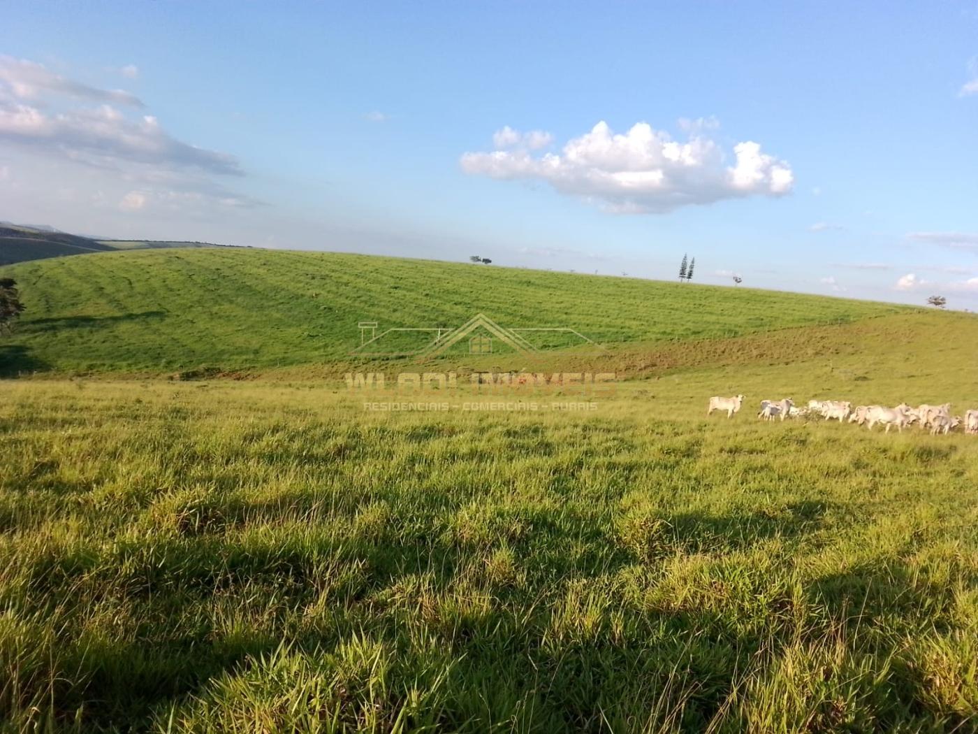 Fazenda à venda, 1200m² - Foto 13