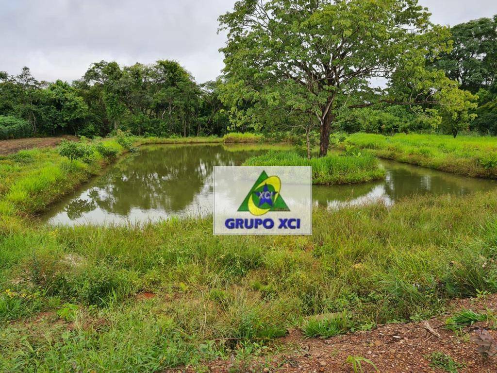 Fazenda-Sítio-Chácara, 1800 hectares - Foto 4