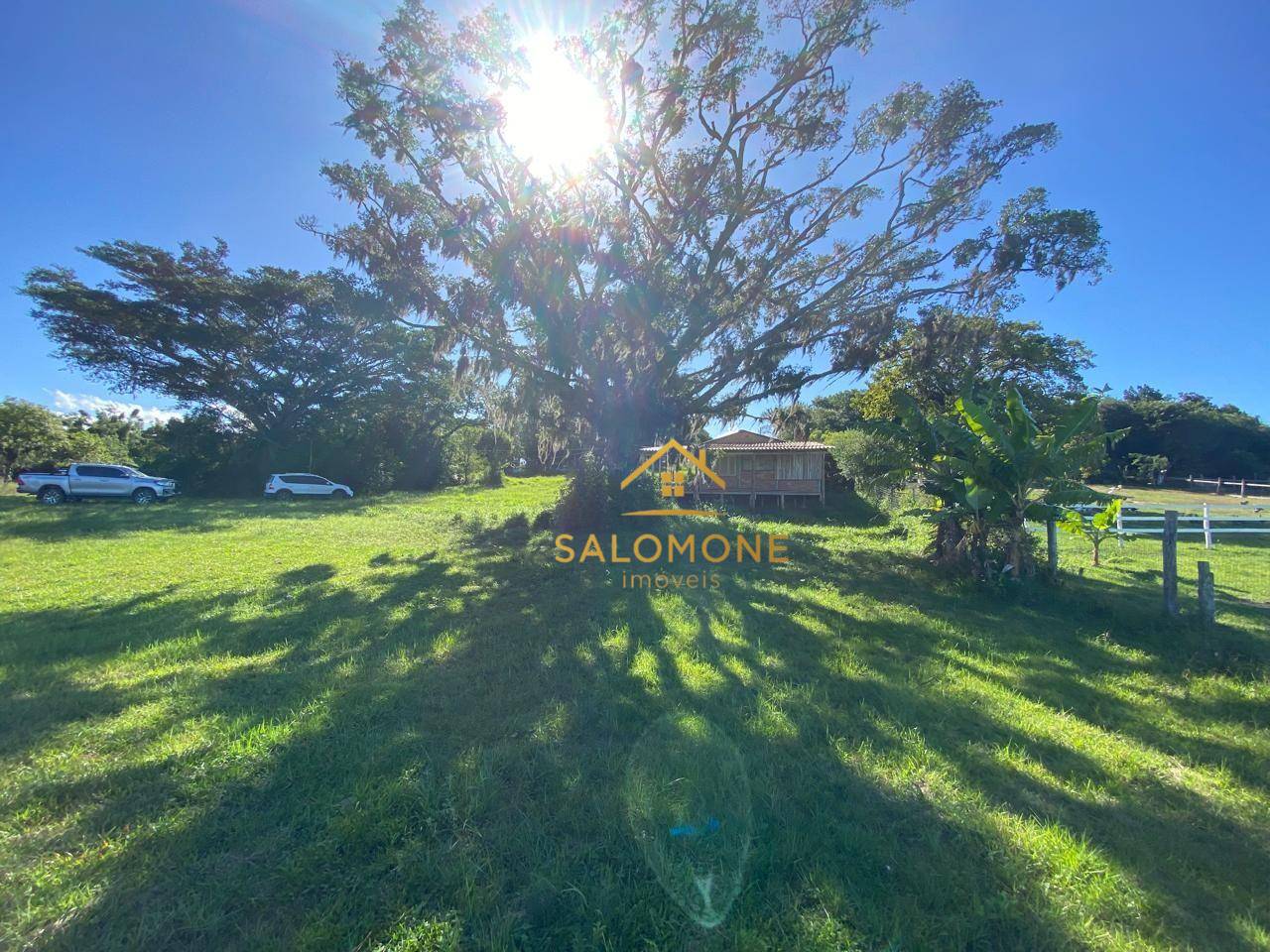 Sítio, 2 quartos, 10000 m² - Foto 1