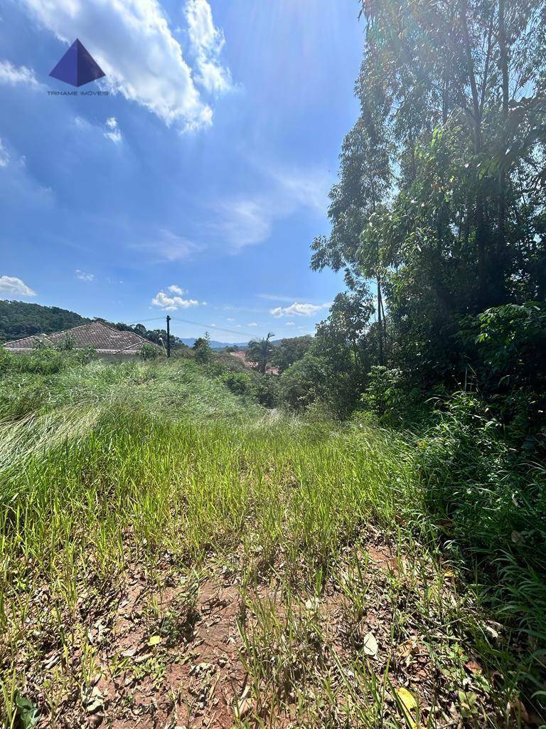 Loteamento e Condomínio à venda, 1000M2 - Foto 7