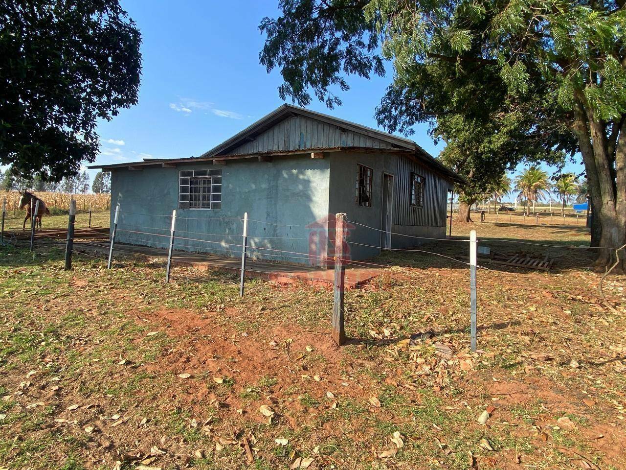 Sítio, 2 hectares - Foto 5