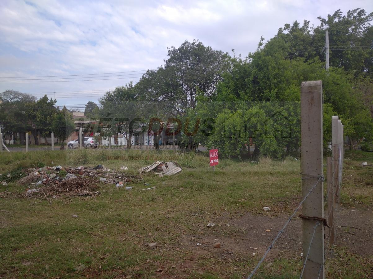 Terreno para alugar, 750m² - Foto 3