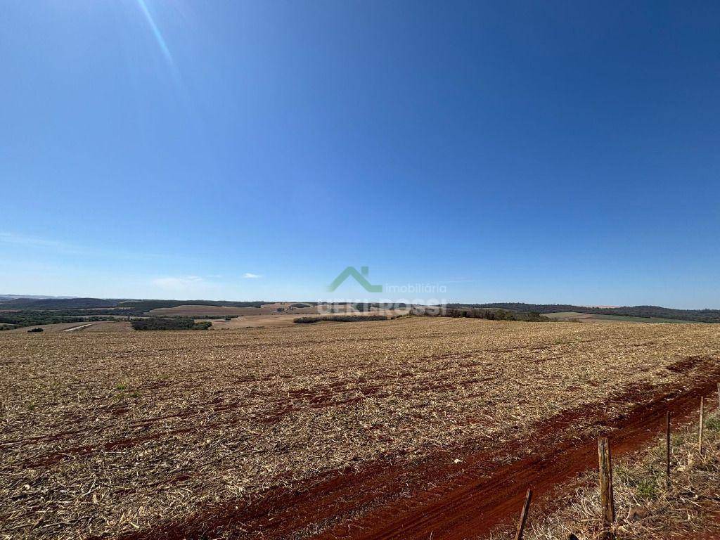 Fazenda, 232 hectares - Foto 2