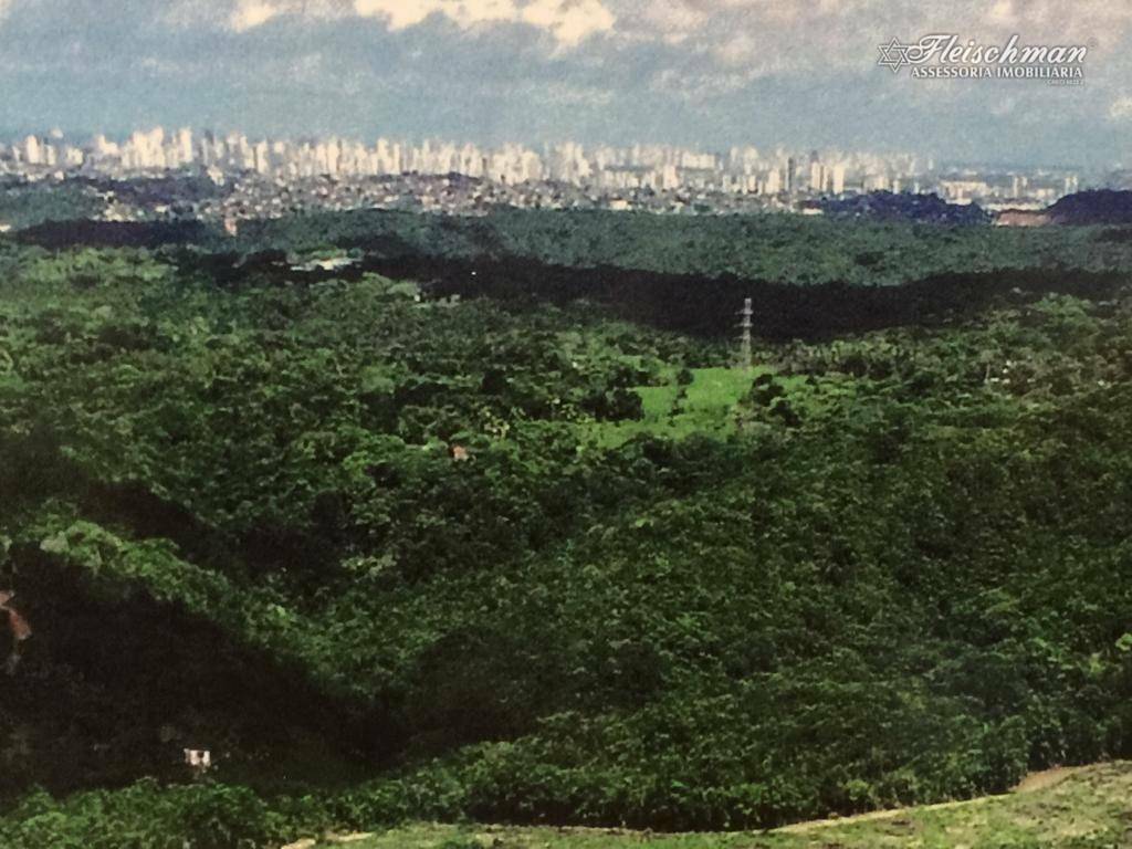 Chácara à venda com 9 quartos, 440000M2 - Foto 9