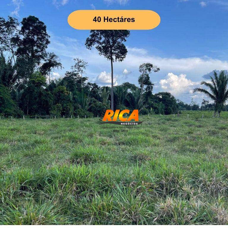 Sítio, 40 hectares - Foto 1