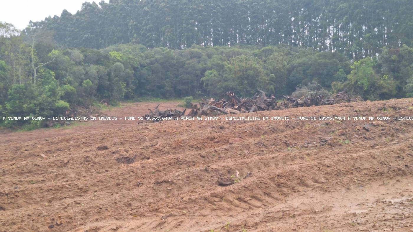 Fazenda à venda com 2 quartos, 141000m² - Foto 21