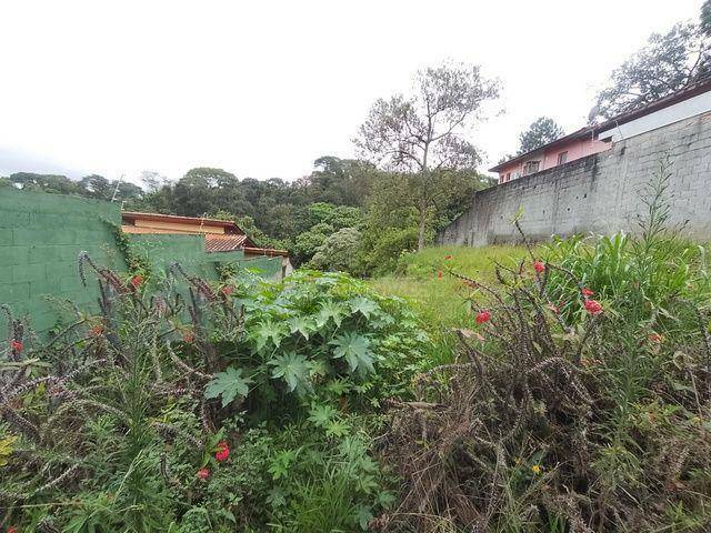 Loteamento e Condomínio à venda, 619M2 - Foto 8