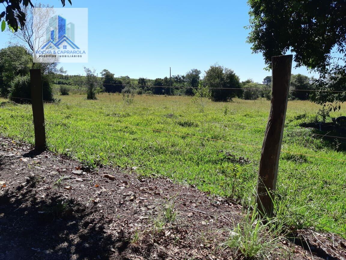 Fazenda à venda com 3 quartos, 6000m² - Foto 17