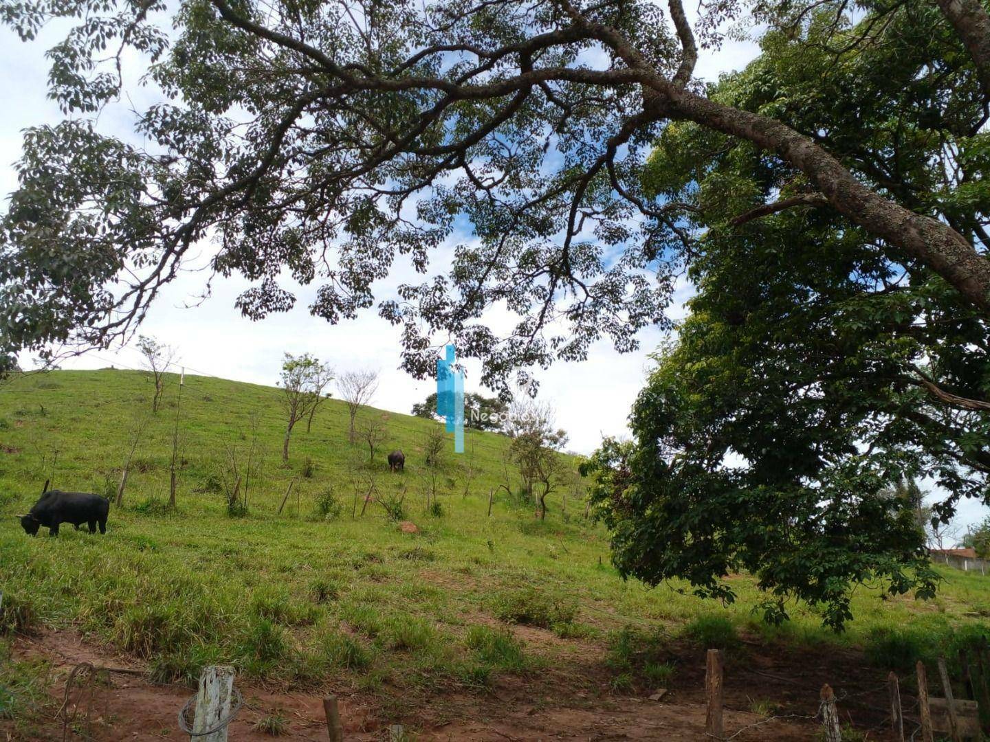 Terreno, 18 hectares - Foto 9