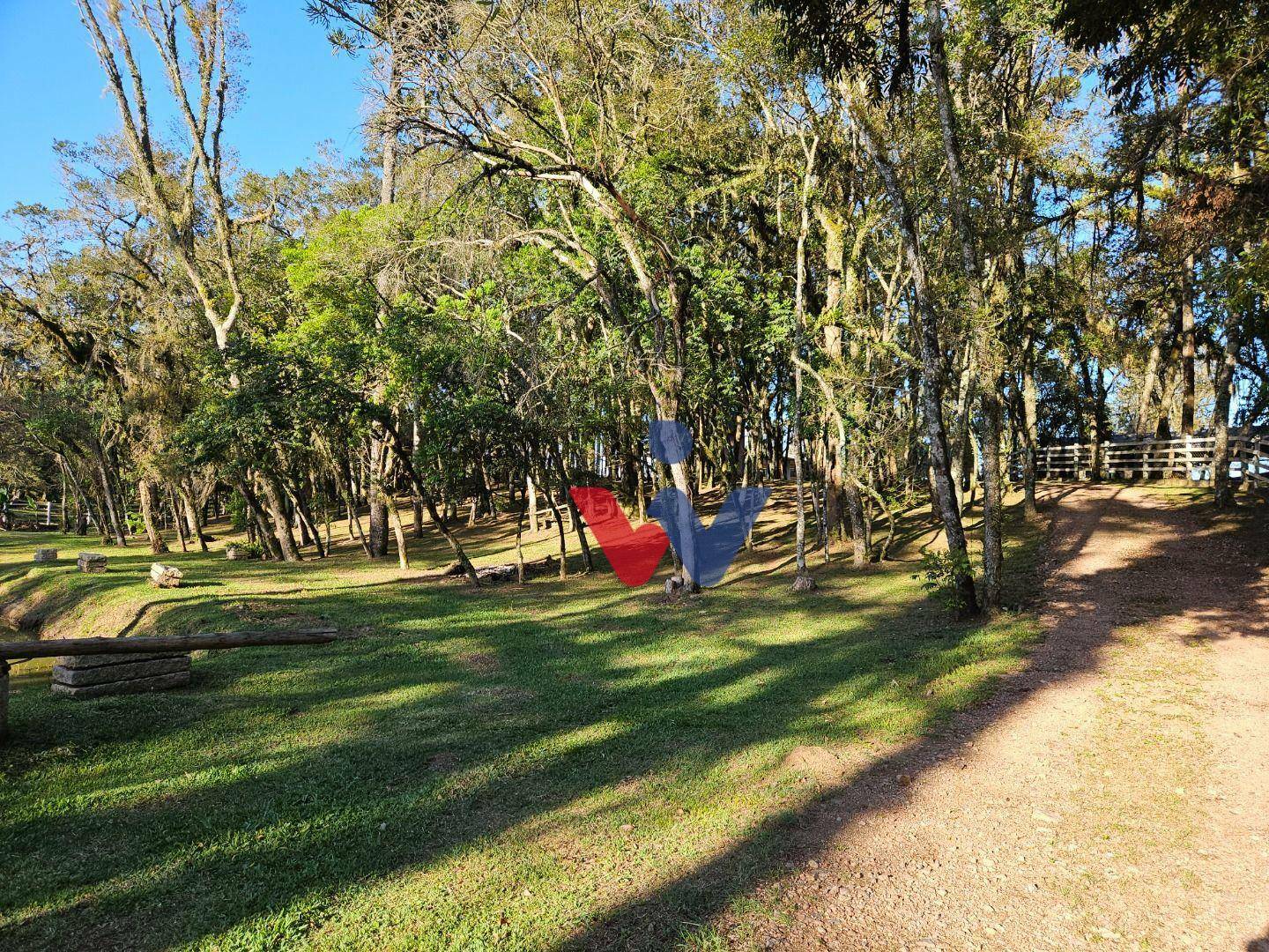 Chácara à venda com 3 quartos, 600m² - Foto 4