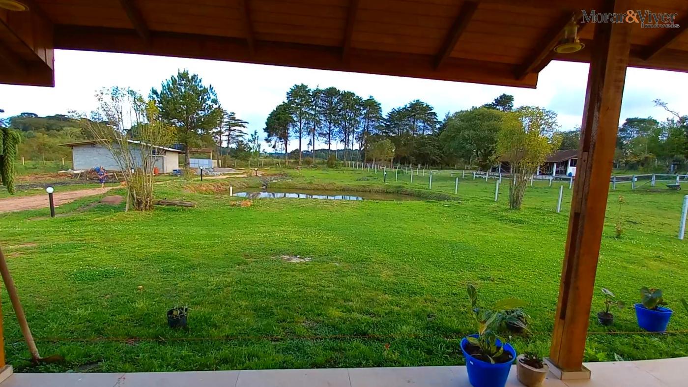 Chácara, 3 hectares - Foto 40