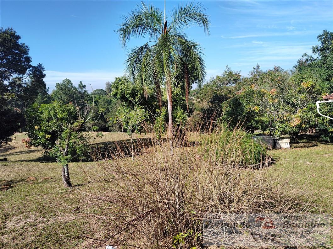 Fazenda à venda com 2 quartos, 16000m² - Foto 31