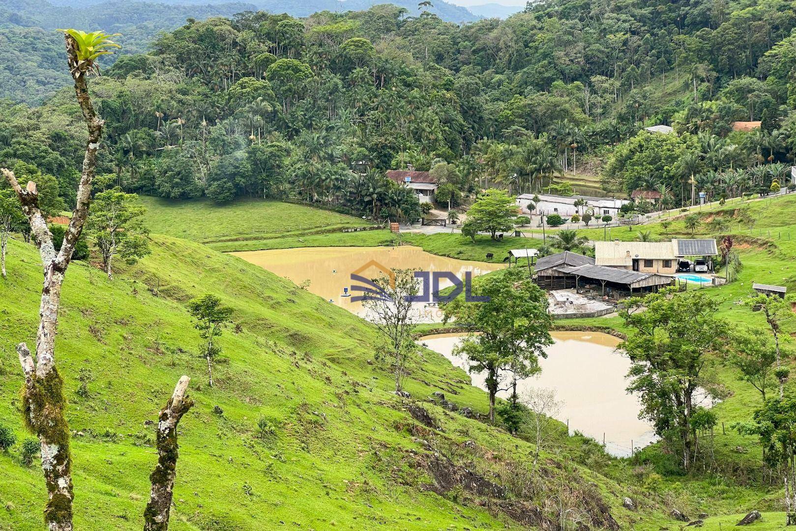 Sítio à venda com 3 quartos, 230000M2 - Foto 7