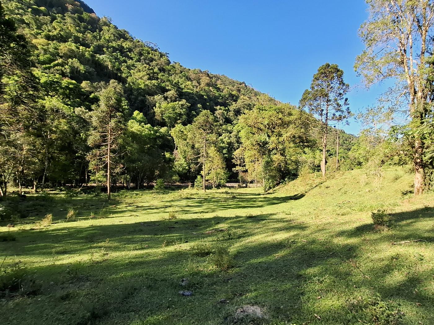 Fazenda à venda com 3 quartos, 90000m² - Foto 37