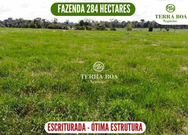Fazenda-Sítio-Chácara, 284 hectares - Foto 1