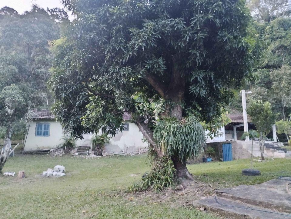 Sítio à venda com 2 quartos, 10000m² - Foto 14