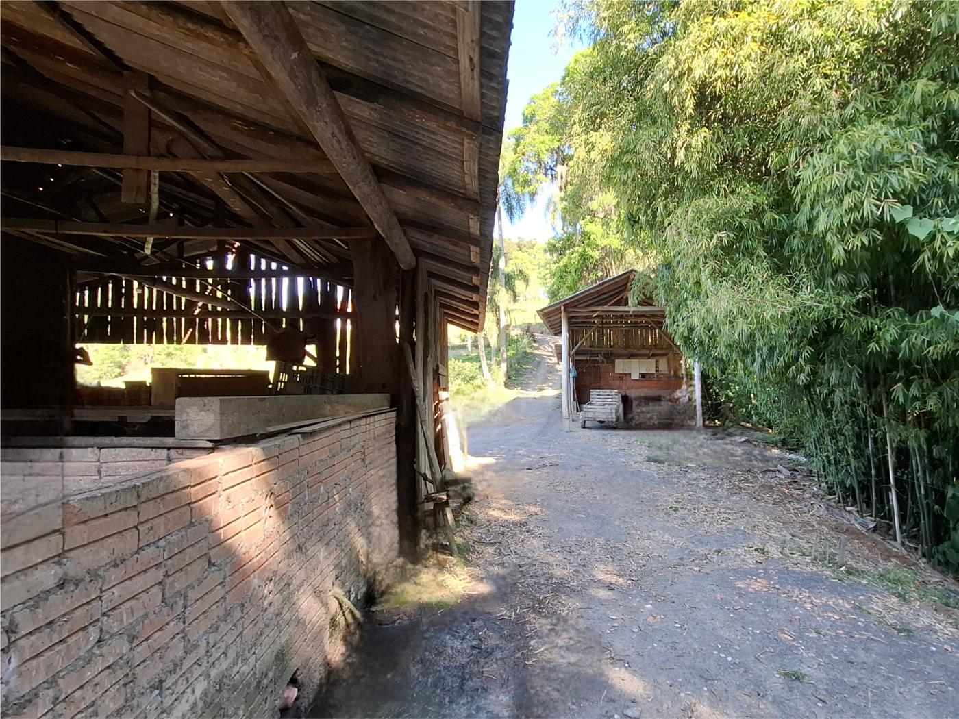 Fazenda à venda com 3 quartos, 90000m² - Foto 26