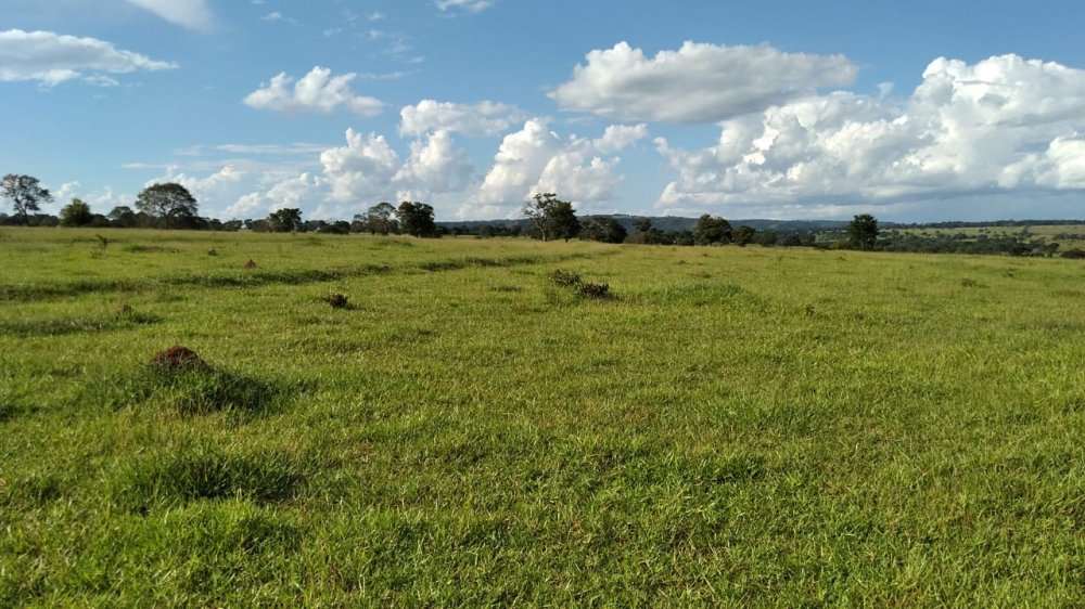 Fazenda à venda, 20m² - Foto 1