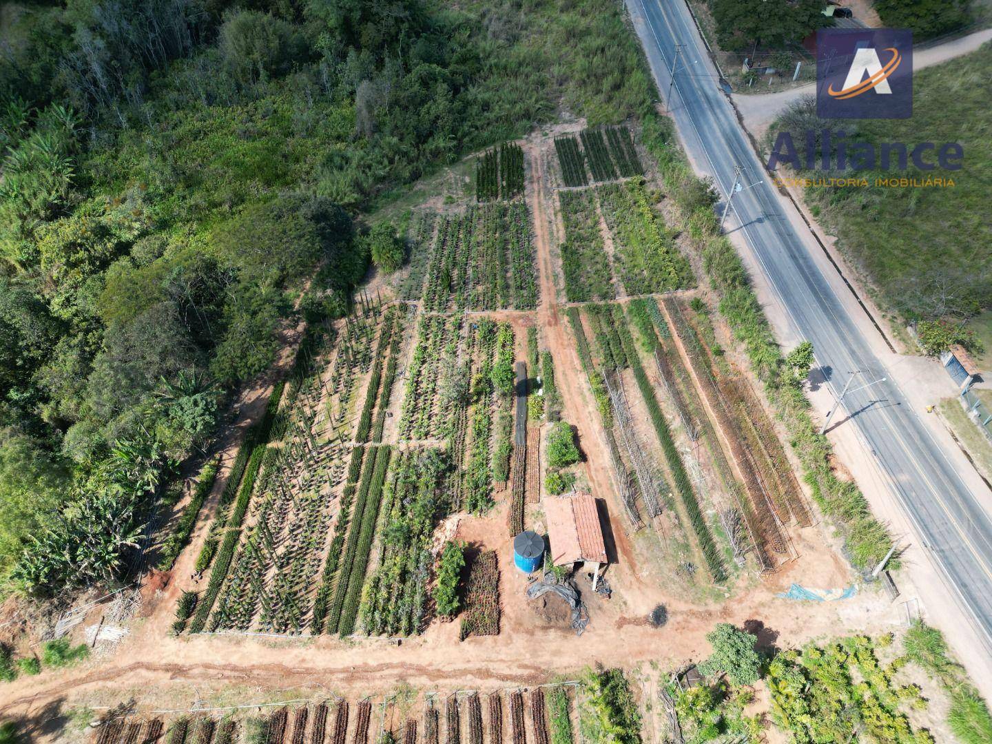 Terreno à venda, 41000M2 - Foto 2