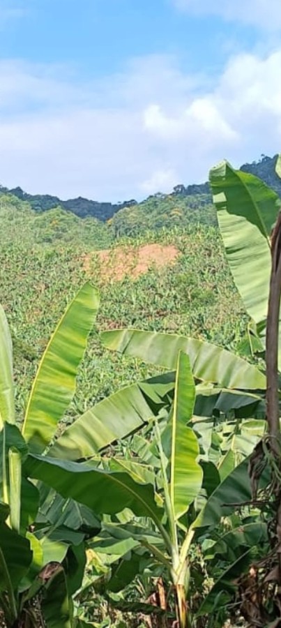 Fazenda à venda, 77m² - Foto 11
