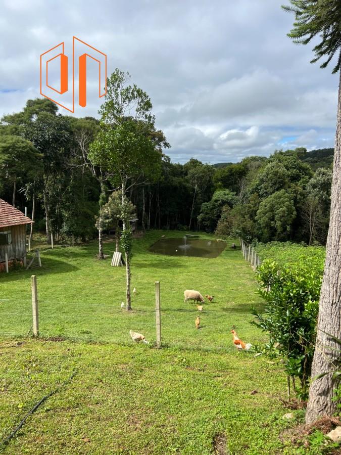 Chácara à venda, 3000m² - Foto 14