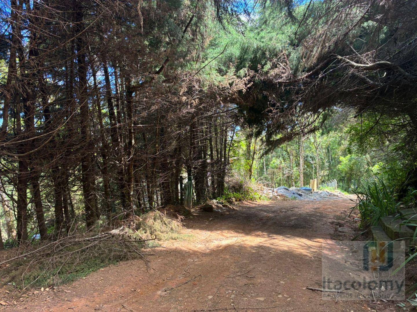 Terreno, 1195 m² - Foto 2