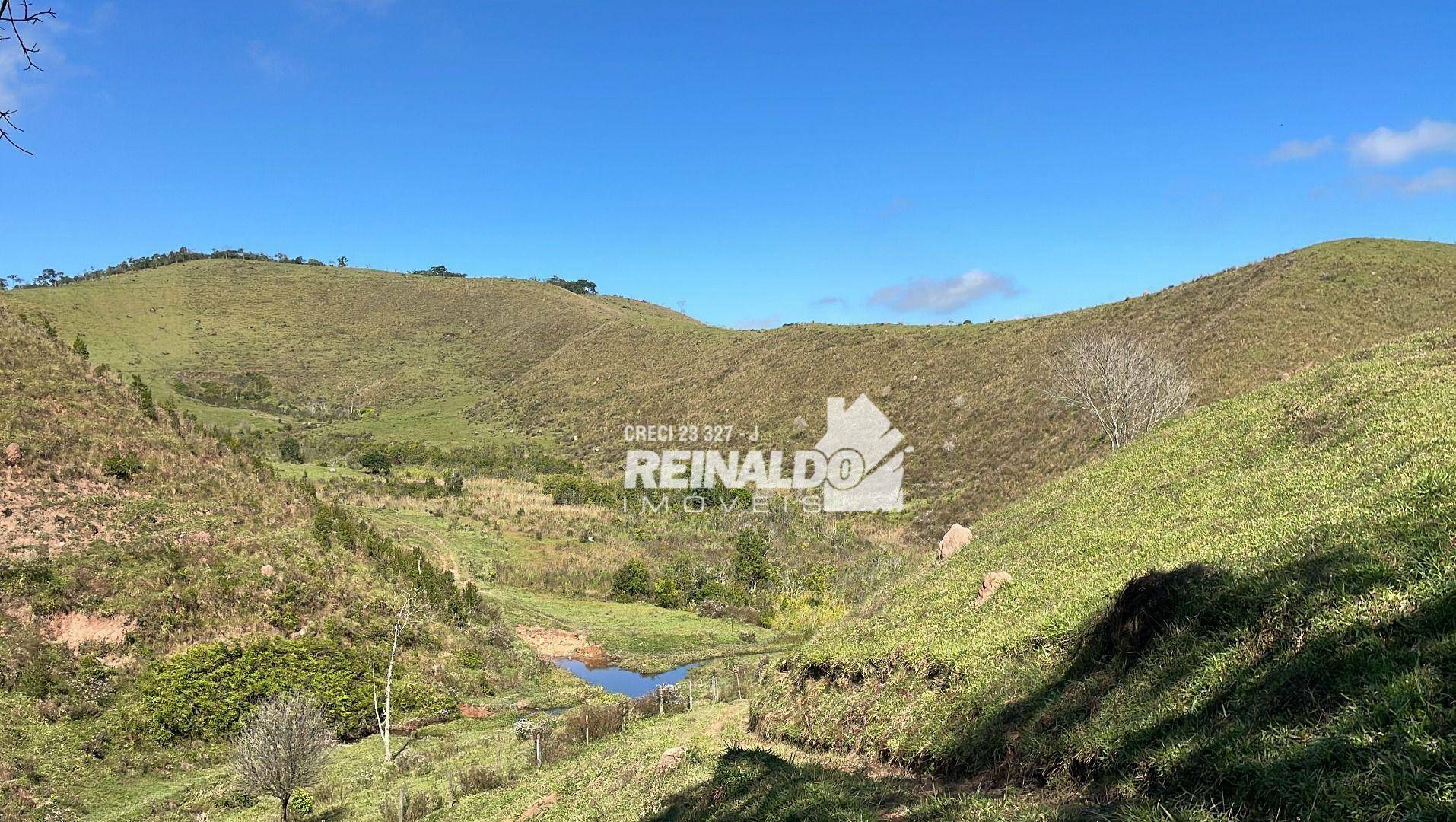 Fazenda à venda com 8 quartos, 900m² - Foto 28