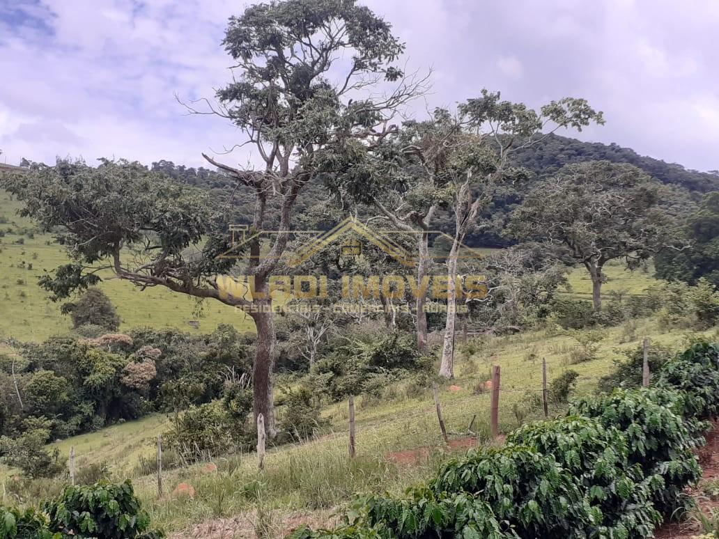 Fazenda-Sítio-Chácara, 19 m² - Foto 10