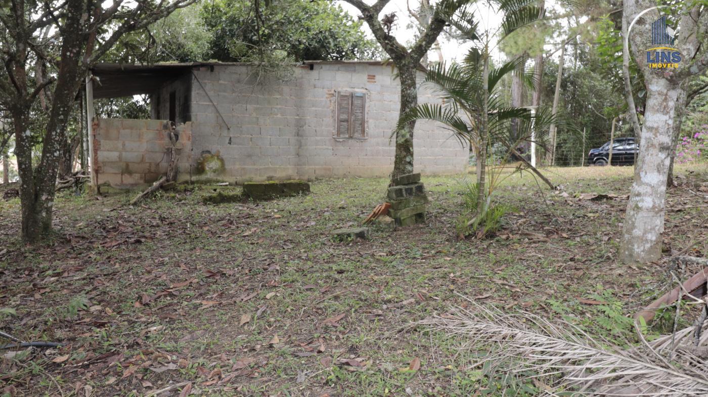 Fazenda à venda com 2 quartos, 50m² - Foto 4