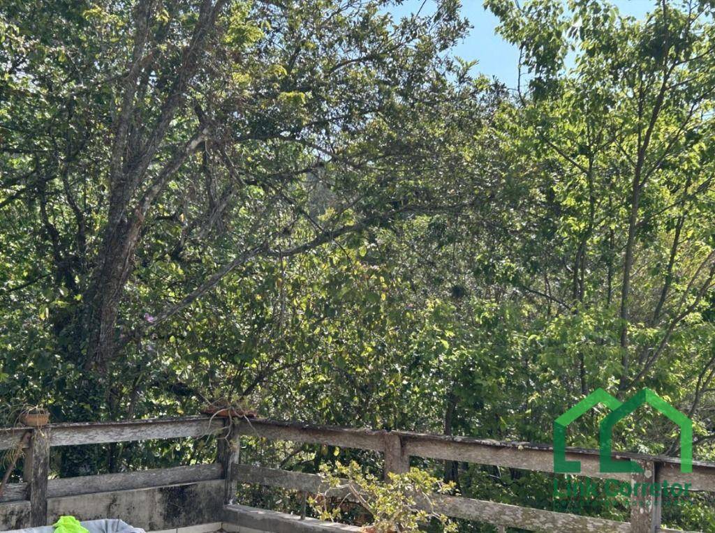 Chácara, 3 quartos, 1158 m² - Foto 3