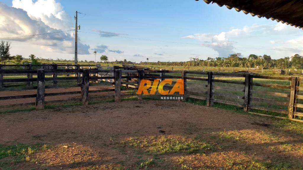 Fazenda à venda com 1 quarto, 4540000M2 - Foto 10