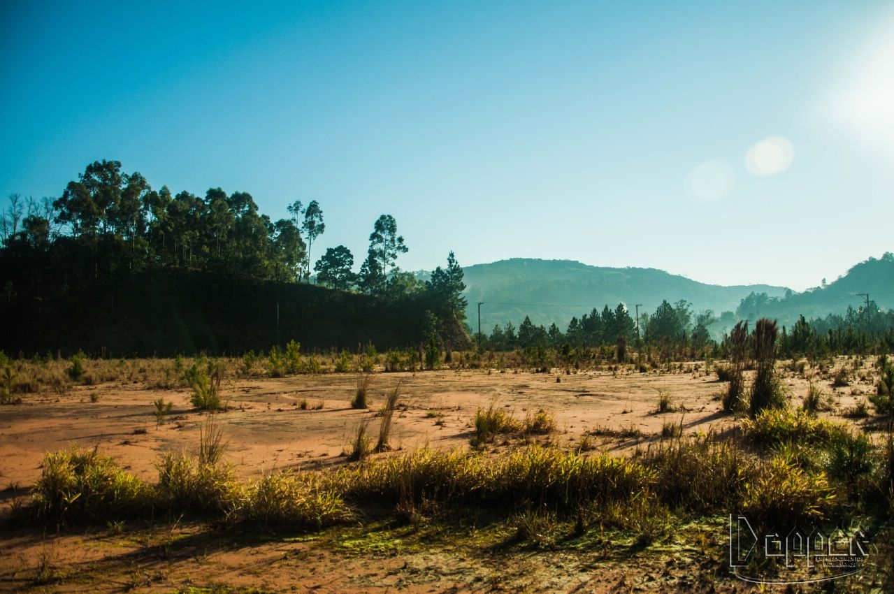 Terreno à venda - Foto 2