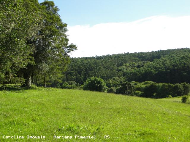 Fazenda à venda com 5 quartos, 625000m² - Foto 23