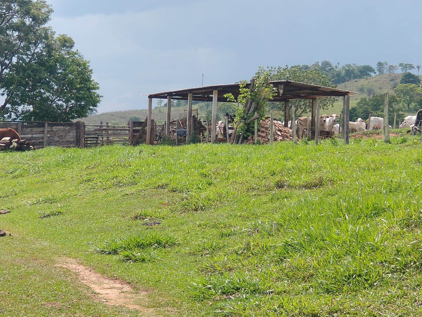 Fazenda-Sítio-Chácara, 28 hectares - Foto 1