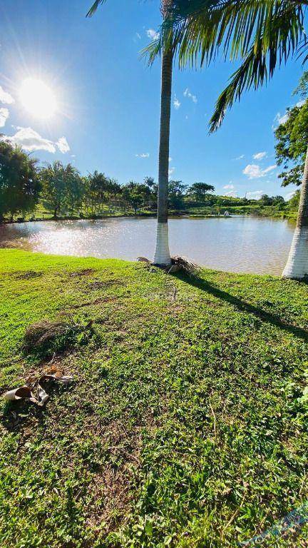 Fazenda, 286 hectares - Foto 6